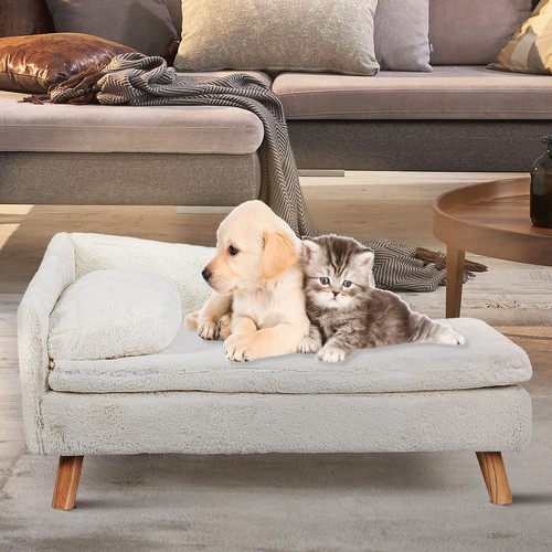 White pet lazy - pet, lounger