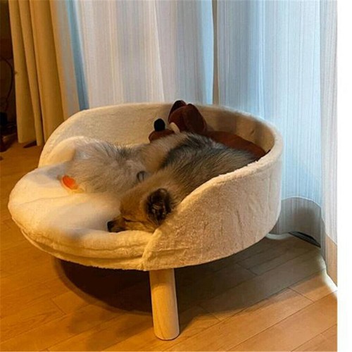 Pet sofa bed - raised, cat